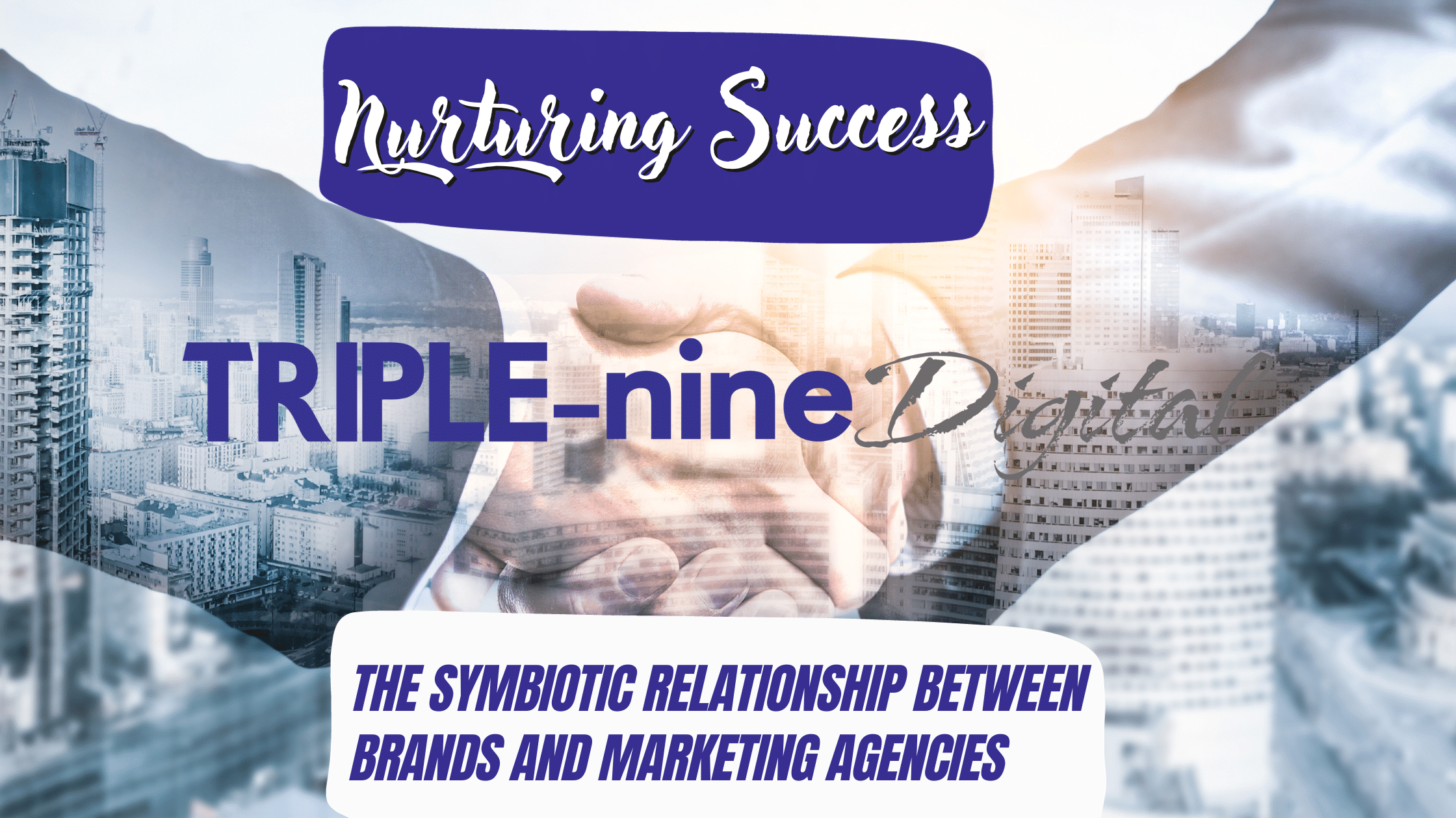 Nurturing Success: The Symbiotic Relationship Between Brands and Marketing Agencies